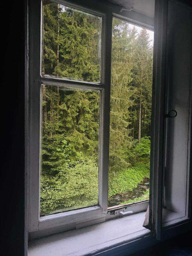 Penzion Lesni Zatisi- Harrachov Kültér fotó