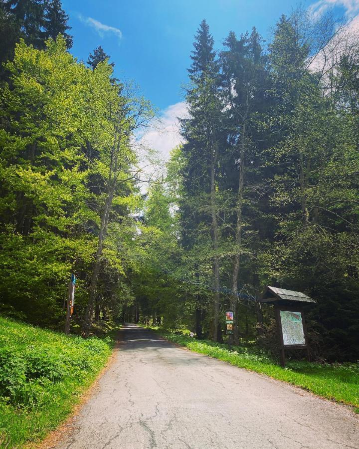 Penzion Lesni Zatisi- Harrachov Kültér fotó
